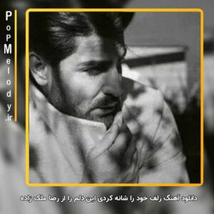 دانلود آهنگ زلف خود را شانه کردی این دلم را از رضا ملک زاده